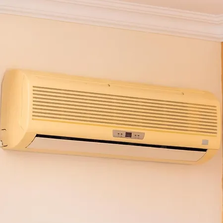 Rosa * Puerto de Santiago (Tenerife)